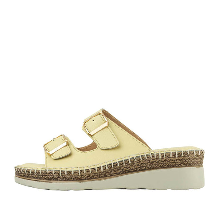 Cassia2 Slides