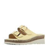 Cassia2 Slides