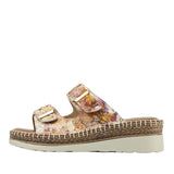 Cassia2 Slides